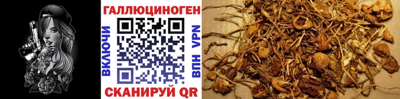 Галлюциногенные грибы Cubensis  Нарткала 