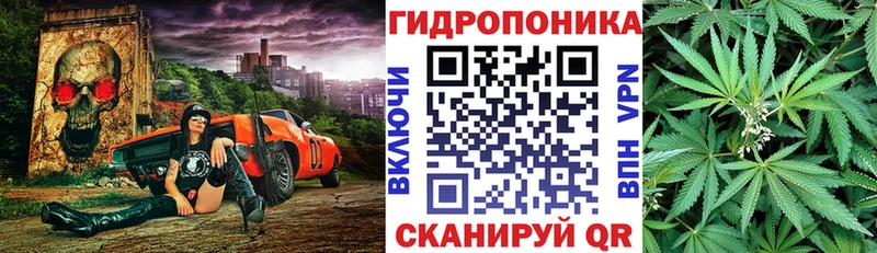 Каннабис семена наркошоп Нарткала